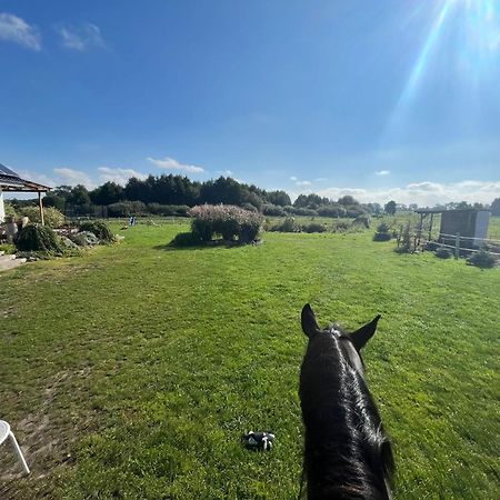 Stajnia Orlowscy Villa Ladzin  Bagian luar foto