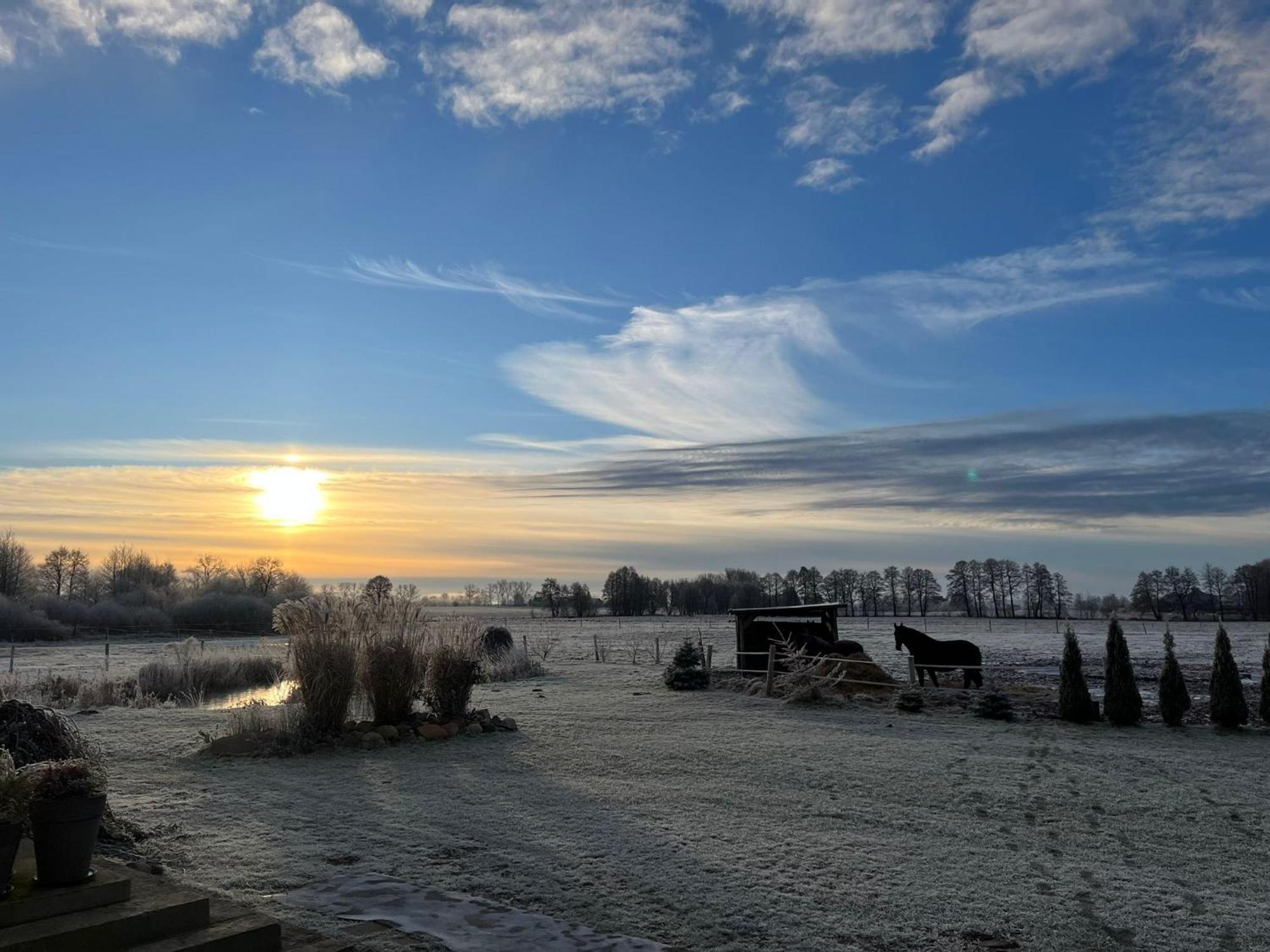 Stajnia Orlowscy Villa Ladzin  Bagian luar foto